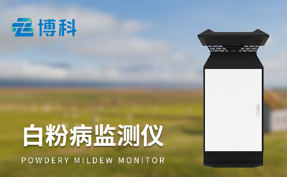 小麥白粉病監(jiān)測(cè)設(shè)備更加精準(zhǔn)防治小麥白粉病