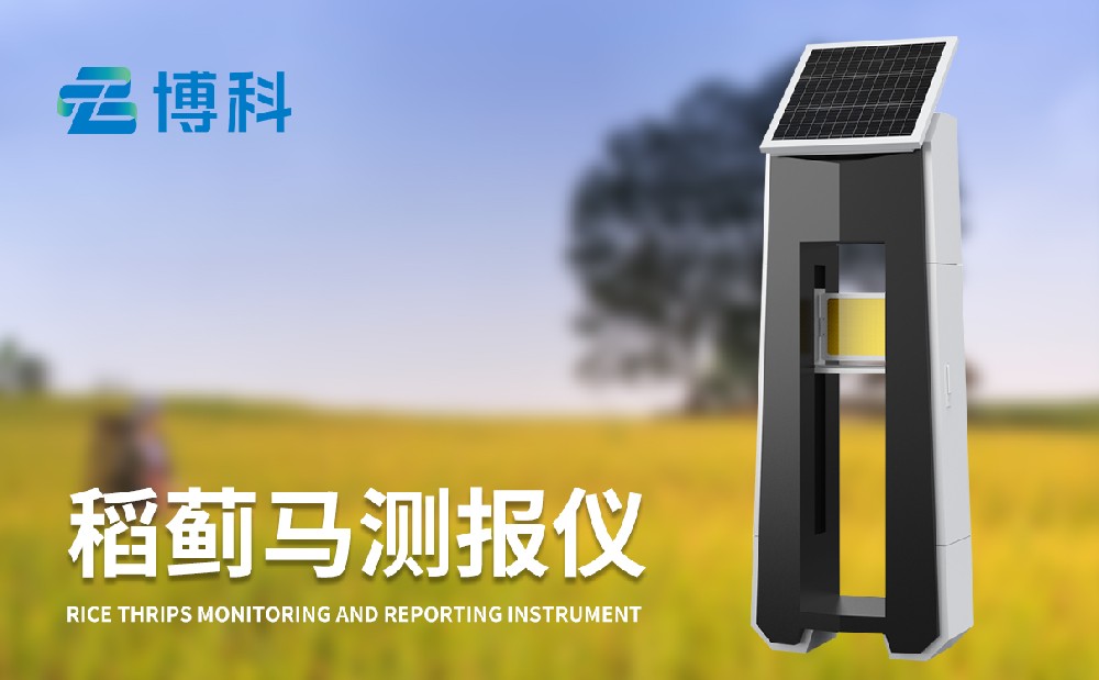 稻薊馬病監測系統讓水稻病蟲害治理變得簡單